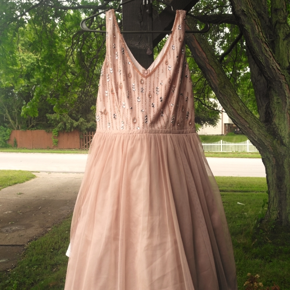 Adrianna Papell   Size 4.  Color Peach